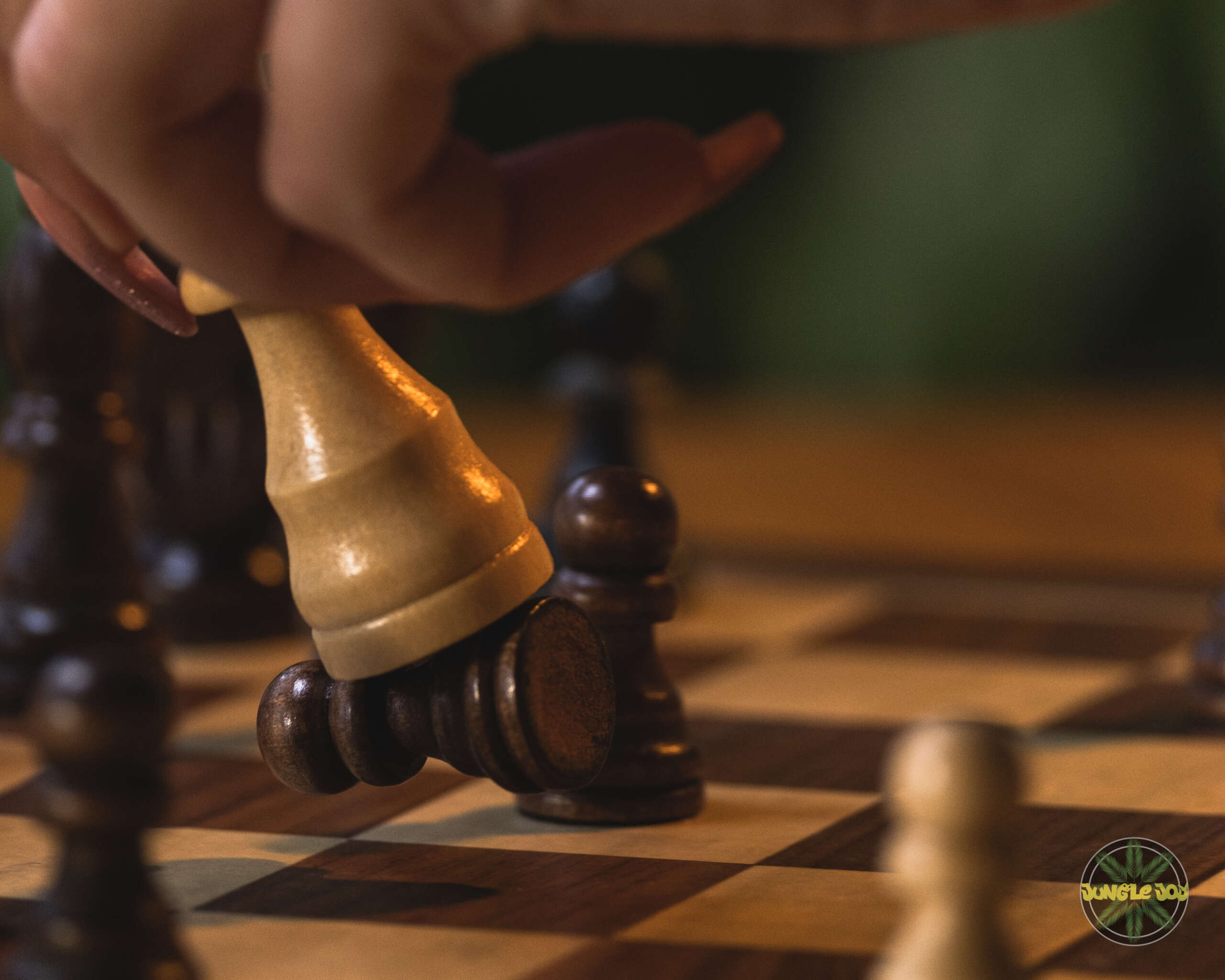 board.games (1 of 1)-3